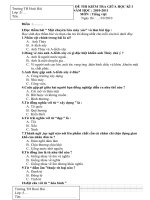 Đề thi giữa kì I (Toán & T.Việt