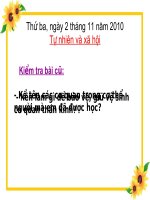 TNXH - CÁC THẾ HỆ TRONG MỘT GIA ĐÌNH