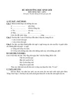 Đề thi bồi dưỡng HS giỏi Tiếng Việt 4