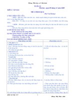 Giáo án 2 buổi/ ngày tuần 12