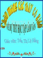 TLV:Luyện tập tả cảnh