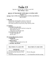 Giáo án mĩ thật lớp 2 tuâần 13