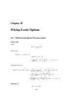 Pricing Exotic Options