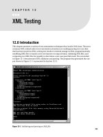 XML testing
