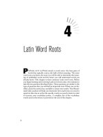 Latin Word Roots
