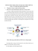 ĐÁNH GIÁ THỰC TRẠNG CÔNG TÁC ĐÀO TẠO VÀ PHÁT TRIỂN TẠI CÔNG TY CỔ PHẦN BẢO HIỂM PETROLIMEX