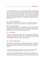 nhung con so trong van vat