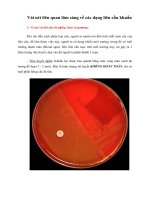 Vài nét liên quan lâm sàng về các dạng liên cầu khuẩn