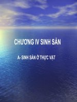 Bài: 41:  SINH SẢN VÔ TÍNH Ở THỰC VẬT