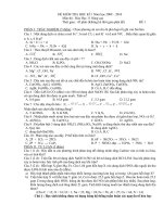 DE+DA THI HK.I HOA 11NC (TN+TL)