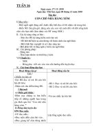 giao an lop 2 tuan 16