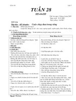 G.A TỔNG HỢP L3 - TUẦN 28