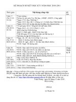 KẾ HOẠCH SƠ KẾT HKI (2010-2011)