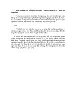 Tertium Comparationis (TC)