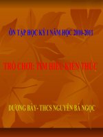 Ôn tập học kỳ I (2010-2011)