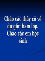 Tiết 16 Phân bón hóa học