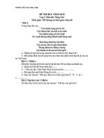 Đề thi HSG tiếng Việt 3