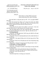 số 259/PGDĐT ngày 26/10/2010