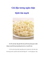 Giá đậu tương ngăn chặn bệnh tim mạch