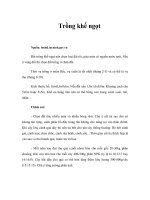 Trồng khế ngọt