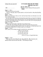 đề thi giáo viên giỏi cấp trường_Tiểu học xuân Tân