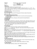 Lớp 5 - Tuần 7