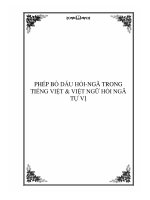 PHÉP BỎ DẤU HỎI-NGÃ TRONG TIẾNG VIỆT & VIỆT NGỮ HỎI NGÃ TỰ VỊ