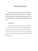 Phòng ngừa điếc đột ngột