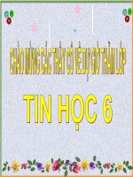 Tổ chức thông tin trên máy tính