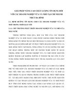 GIẢI PHÁP NÂNG CAO CHẤT LƯỢNG TÍN DỤNG ĐỐI VỚI CÁC DOANH NGHIỆP VỪA VÀ NHỎ TẠI CHI NHÁNH NHCT BA ĐÌNH
