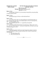 HSG An Nhơn 2010-2011