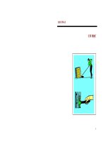 Bài tập SKG lop 6