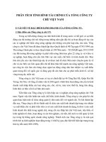 PHÂN TÍCH TÌNH HÌNH TÀI CHÍNH CỦA TỔNG CÔNG TY CHÈ VIỆT NAM