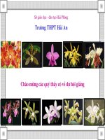 Bài: Ứng dụng các phép biến hình