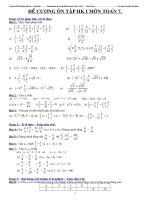 Đè cương ôn tập Toan7.2(NH2010 - 2011)