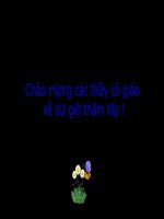 Vận chuyển các chất trong thân (Thi GV giỏi huyện)