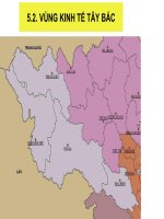 Vùng kinh tế Tây Bắc