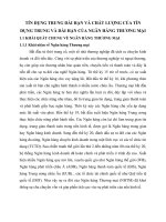 TÍN DỤNG TRUNG DÀI HẠN VÀ CHẤT LƯỢNG CỦA TÍN DỤNG TRUNG VÀ DÀI HẠN CỦA NGÂN HÀNG THƯƠNG MẠI