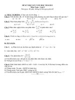 ĐỀ KIỂM TRA HKI -2010-2011
