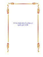 10 Các bệnh thối rễ và thân có nguồn gốc từ đất