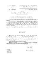 Mẫu quyết định về việc Công nhận Điều lệ (sửa đổi, bổ sung lần thứ …) của Quỹ