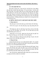 sang kien tieu hoc ren vo sach chu dep