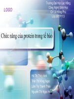 chức năng protein