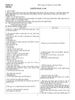 Giao an lop 5-tuan 14/2009-2010-Hoa