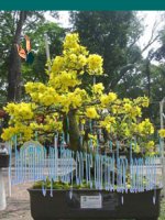 tiet 12-bai du thi gvg-dia 8