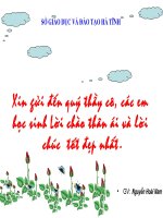 GDCD -Thi GVG Vi pham phap luat