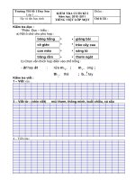 Đề Toán + T Việt CK1 lớp 1 (10-11)
