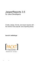 JasperReports 3.5 for Java Developers- P1