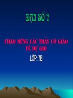 mot so bai toan ve dai luong ti le thuan