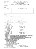 Đề K.Tra HKI Năm 2010(Hay)